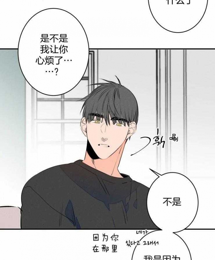 《结婚？可以啊》第72话 第40页
