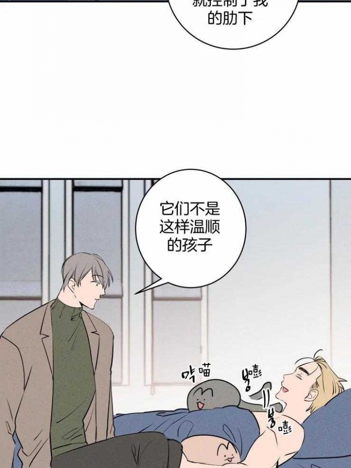 《结婚？可以啊》第73话 第11页