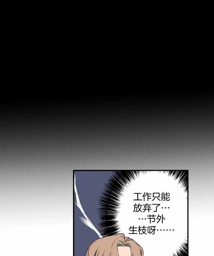 《结婚？可以啊》第71话 第13页