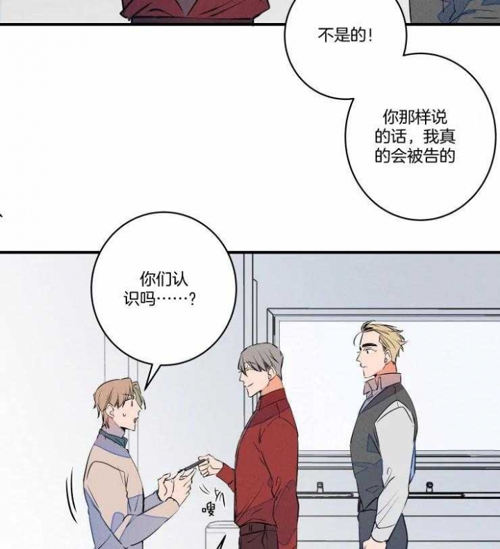 《结婚？可以啊》第71话 第34页
