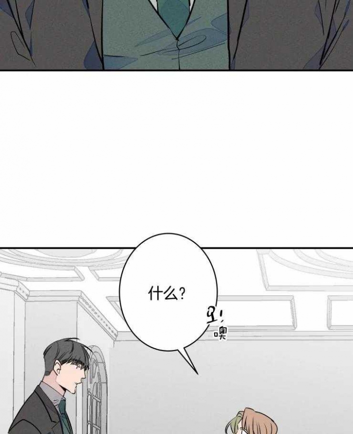 《结婚？可以啊》第74话 第13页