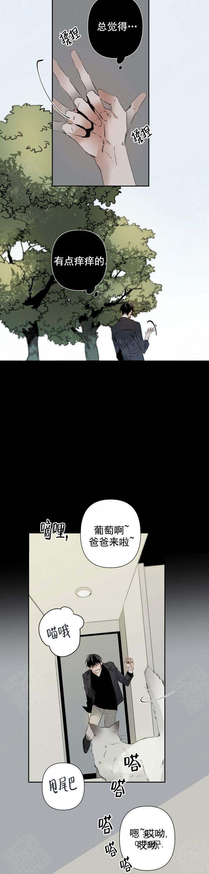 《臣服关系（ 第I II 季）》第85话 第7页