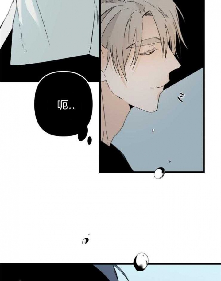 《臣服关系（ 第I II 季）》第156话 第13页