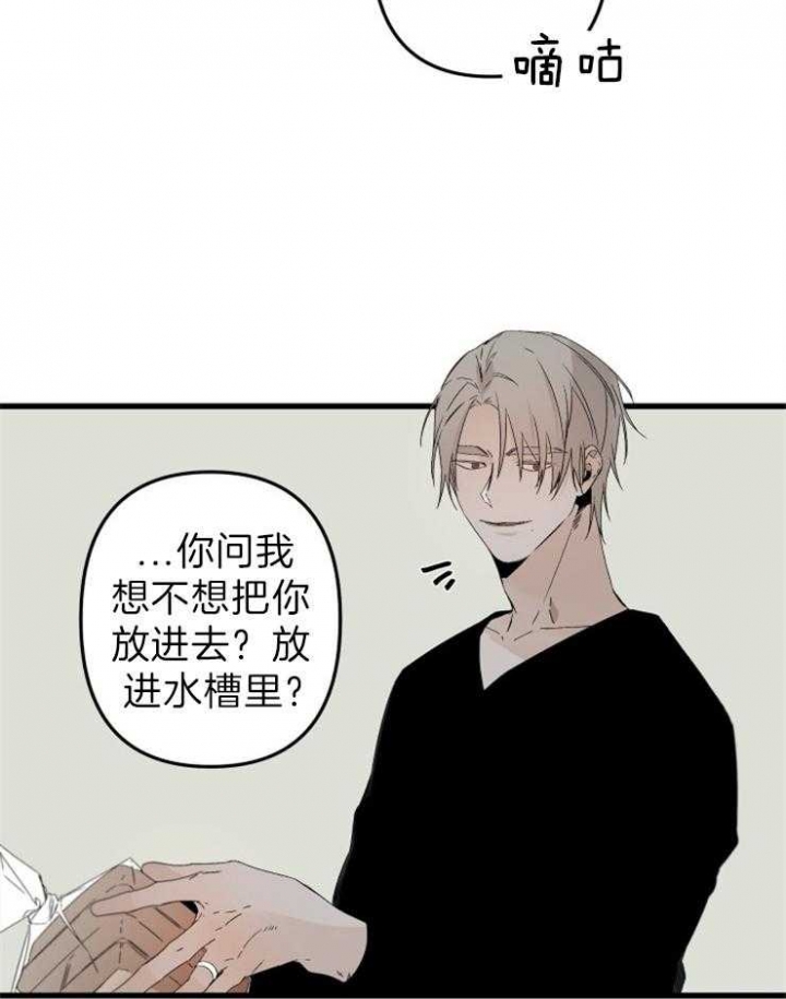 《臣服关系（ 第I II 季）》第156话 第5页