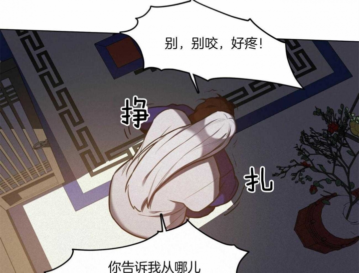 《我非樵夫》第48话 第11页