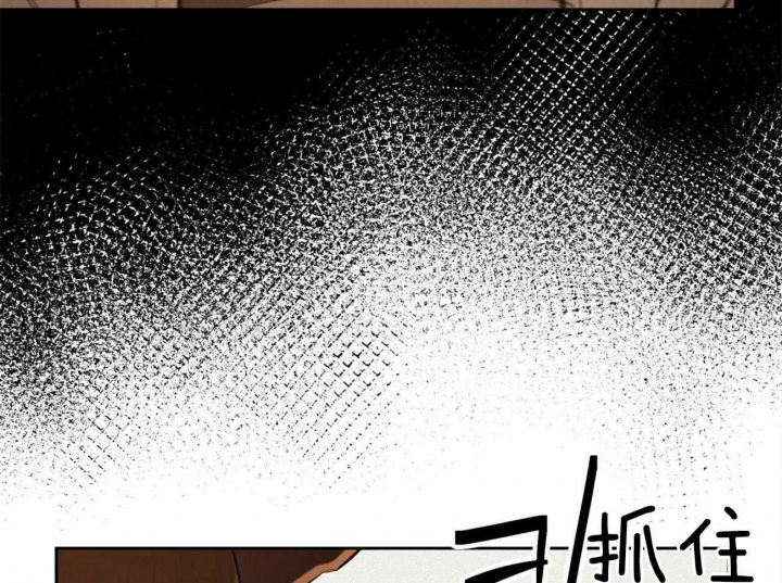 《我非樵夫》第59话 第28页