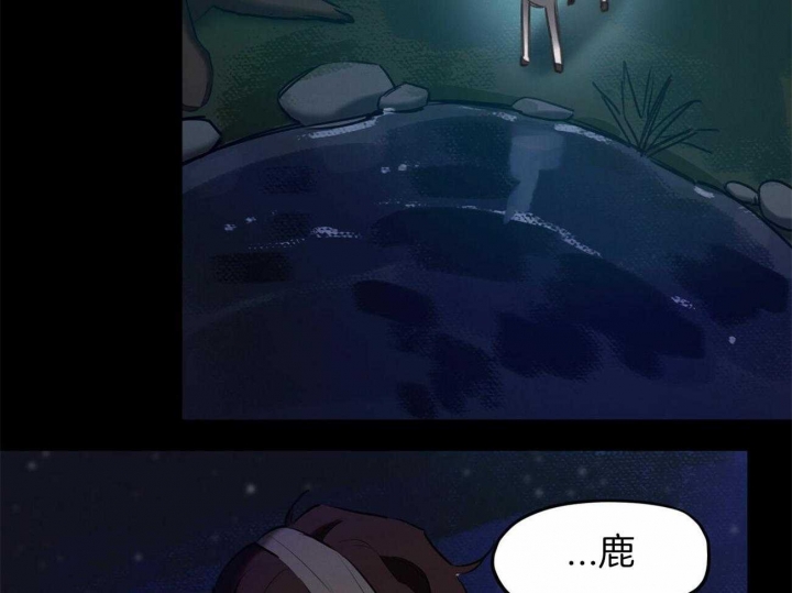 《我非樵夫》第61话 第19页