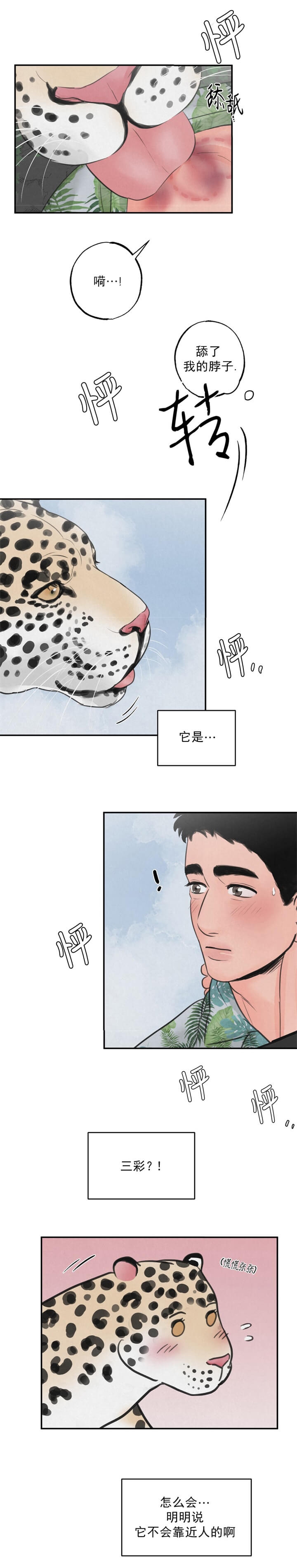 《丛林游戏》第11话 第12页