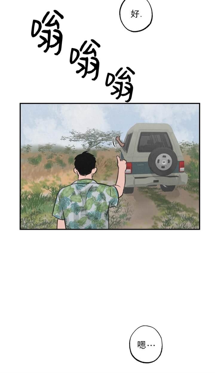 《丛林游戏》第11话 第4页