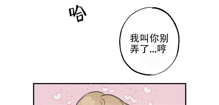 《丛林游戏》第16话 第19页