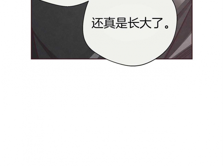 《命运的指环》第38话 第46页
