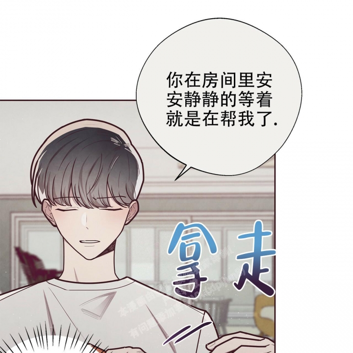 《命运的指环》第42话 第14页
