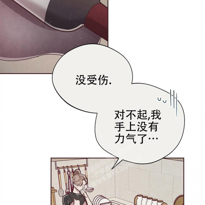 《命运的指环》第48话 第13页