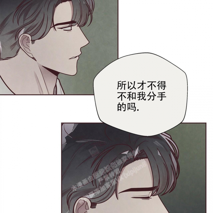 《命运的指环》第49话 第46页