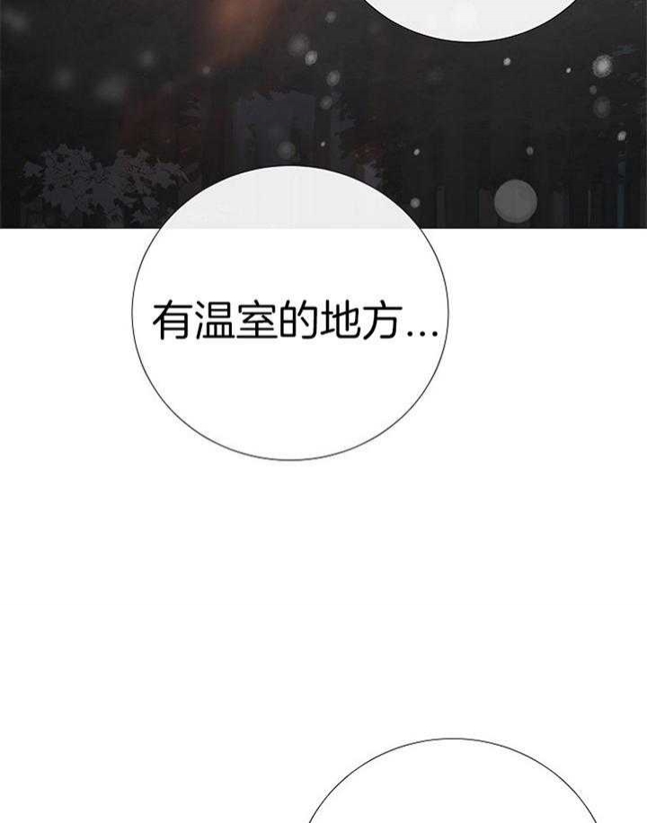 《冷温室》第188话 第21页