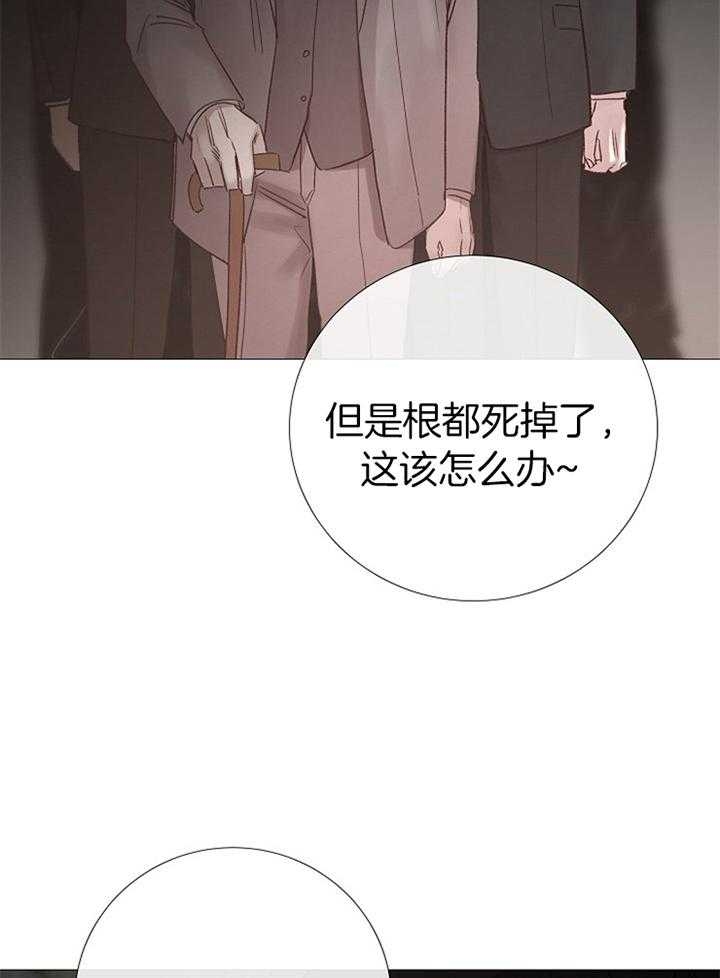 《冷温室》第183话 第29页