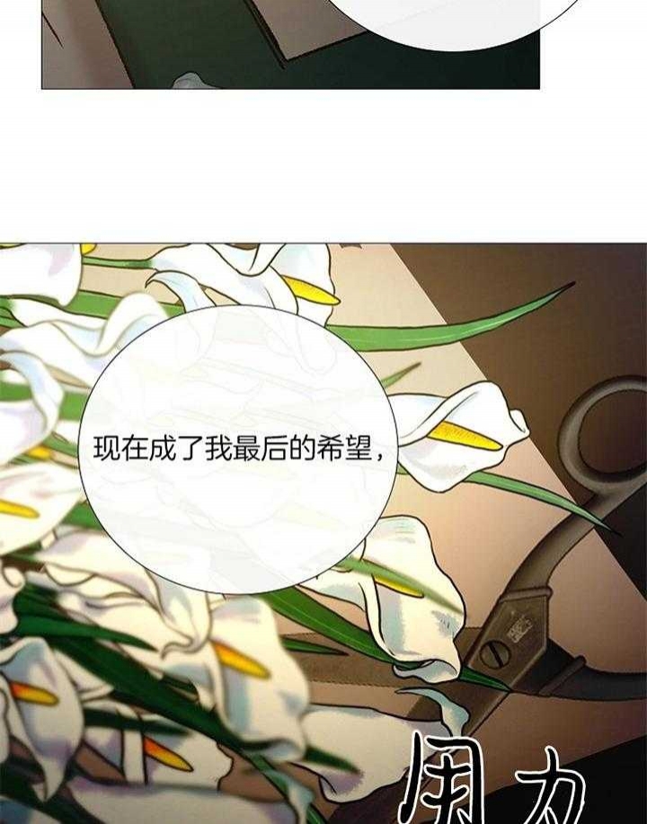 《冷温室》第158话 第27页