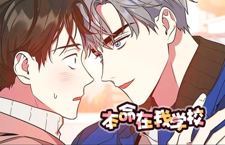 《本命在我学校》漫画封面图 - tl漫画