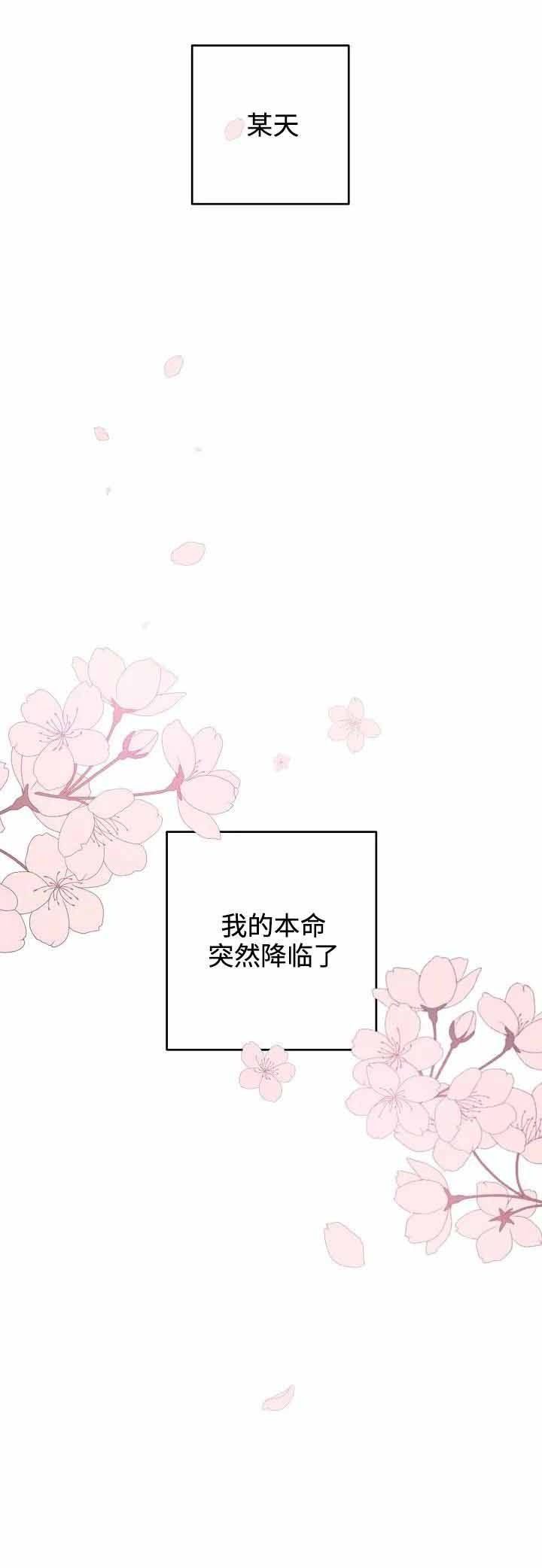 《本命在我学校》第2话 第5页