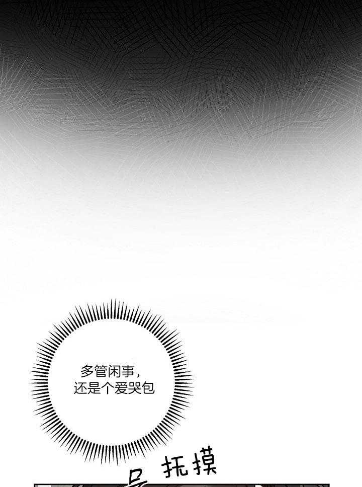 《本命在我学校》第36话 第15页