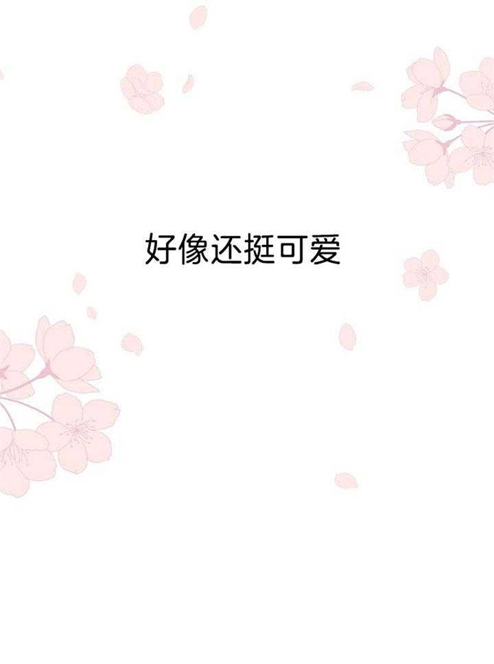 《本命在我学校》第44话 第33页