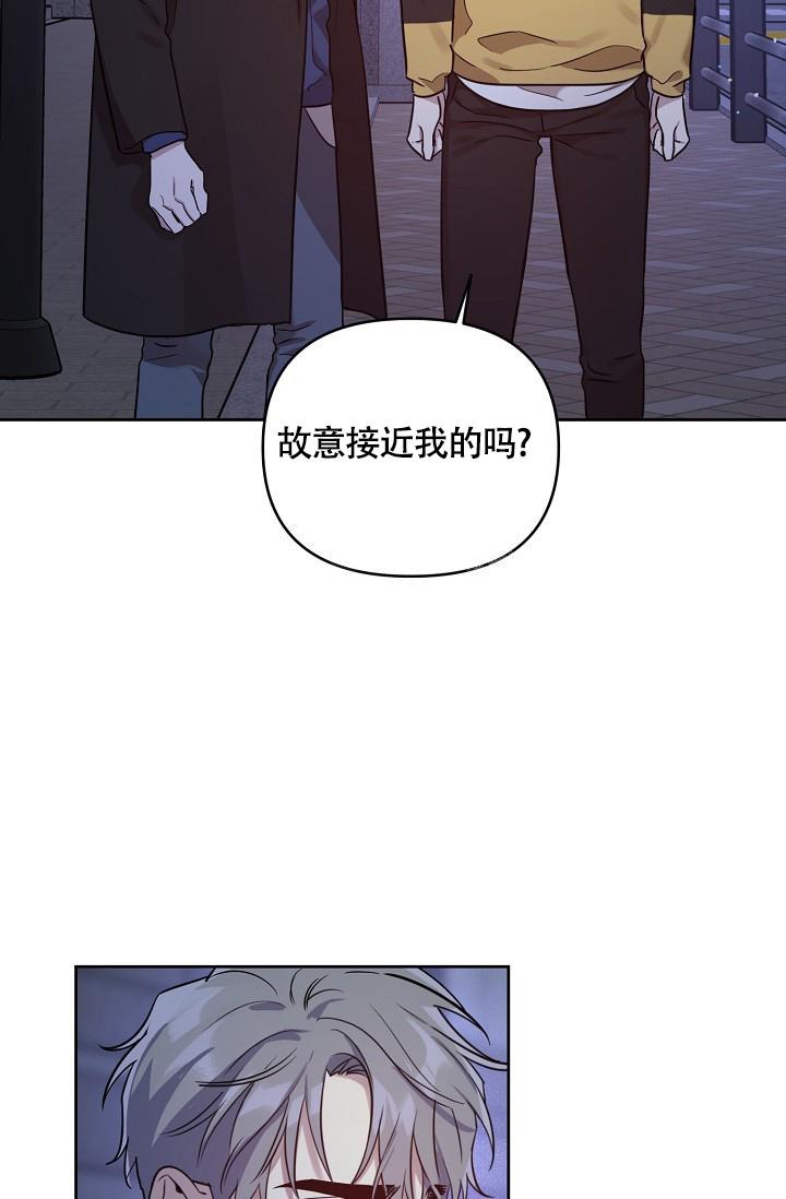 《本命在我学校》第64话 第31页