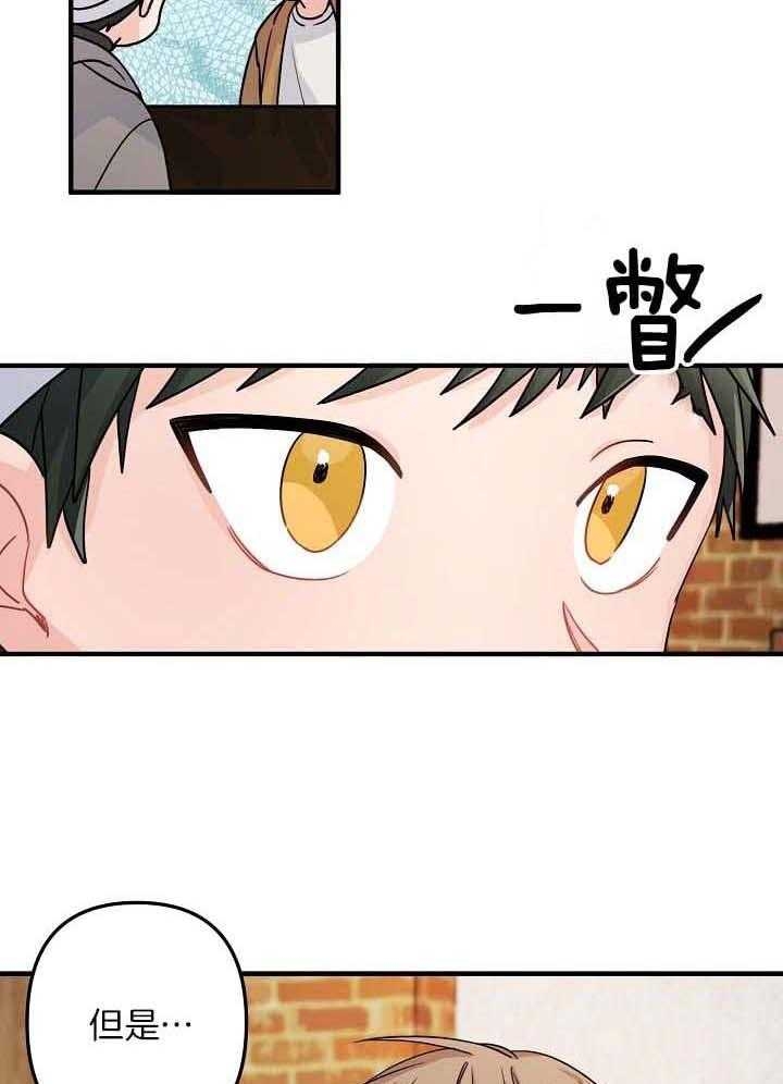 《爱情也能做手术吗？》第80话 第3页