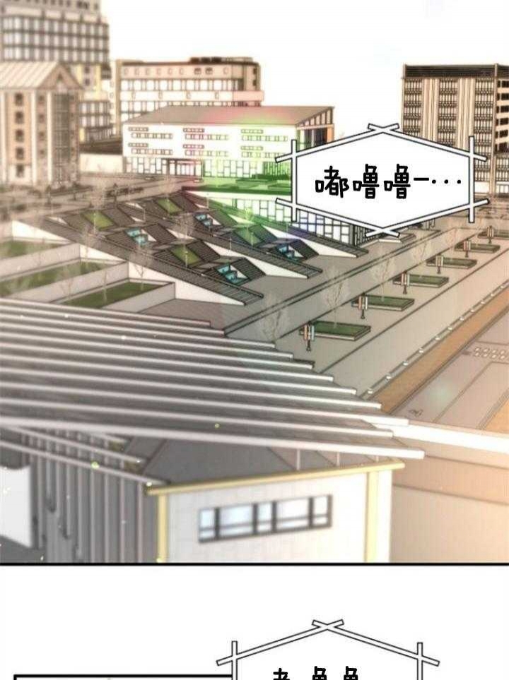 《爱情也能做手术吗？》第71话 第20页