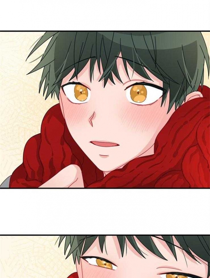 《爱情也能做手术吗？》第46话 第33页