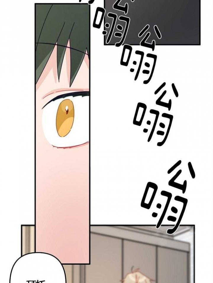 《爱情也能做手术吗？》第40话 第19页