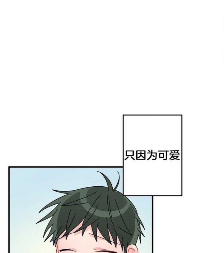 《爱情也能做手术吗？》第40话 第5页