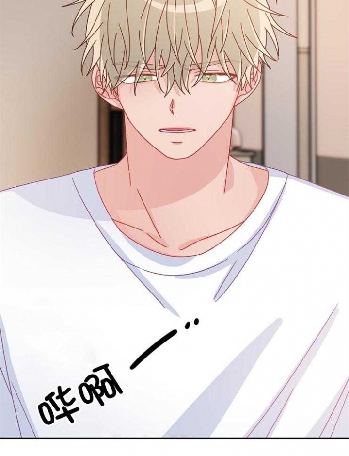 《爱情也能做手术吗？》第41话 第22页
