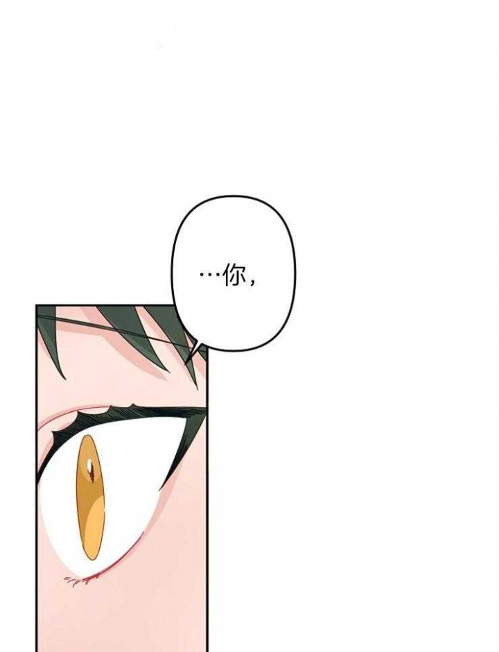 《爱情也能做手术吗？》第41话 第23页