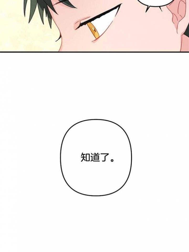 《爱情也能做手术吗？》第24话 第31页