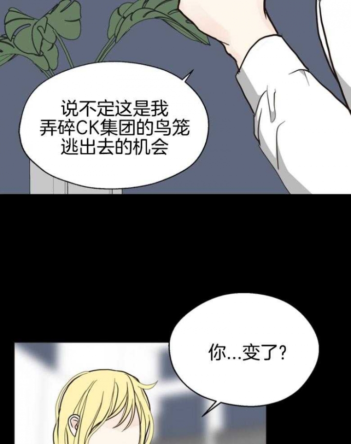 《赴夜》第141话 第29页