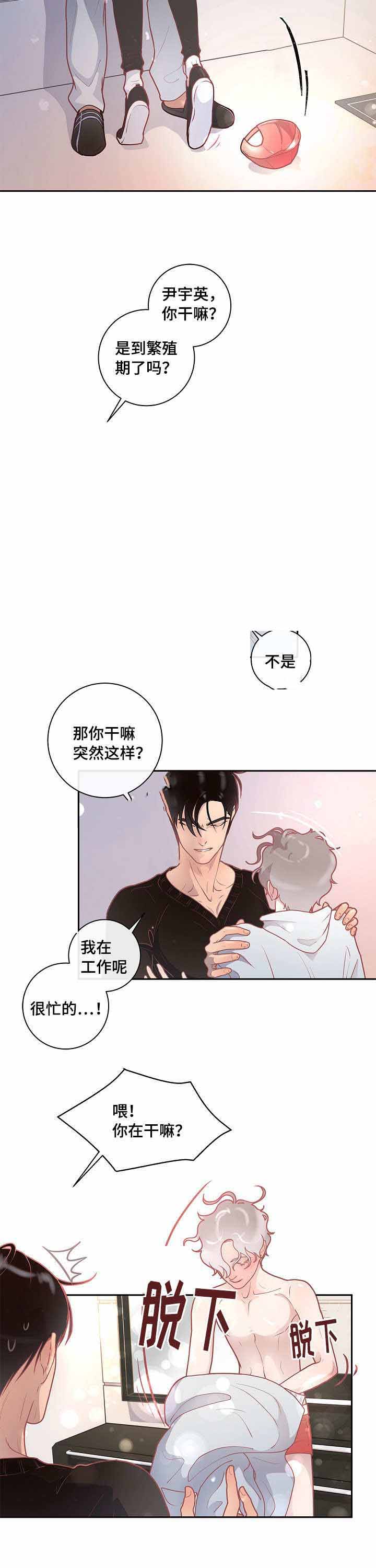 《勾引alpha的方法(番外)》第27话 第15页