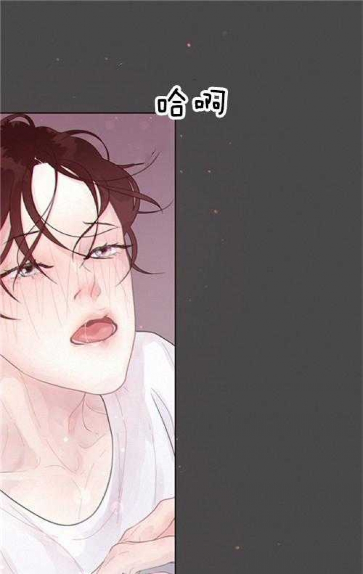 《勾引alpha的方法(番外)》第164话 第21页
