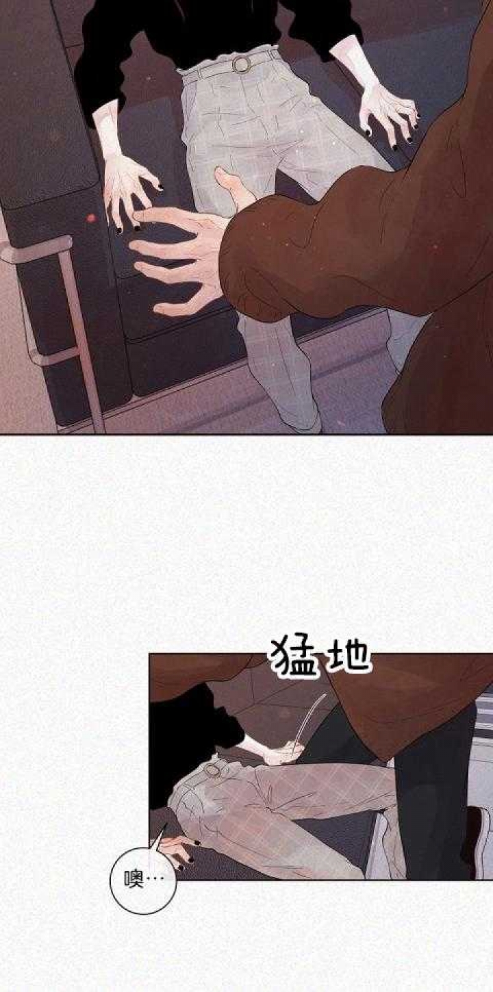 《勾引alpha的方法(番外)》第167话 第4页