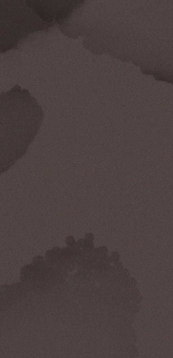 《勾引alpha的方法(番外)》第200话 第21页