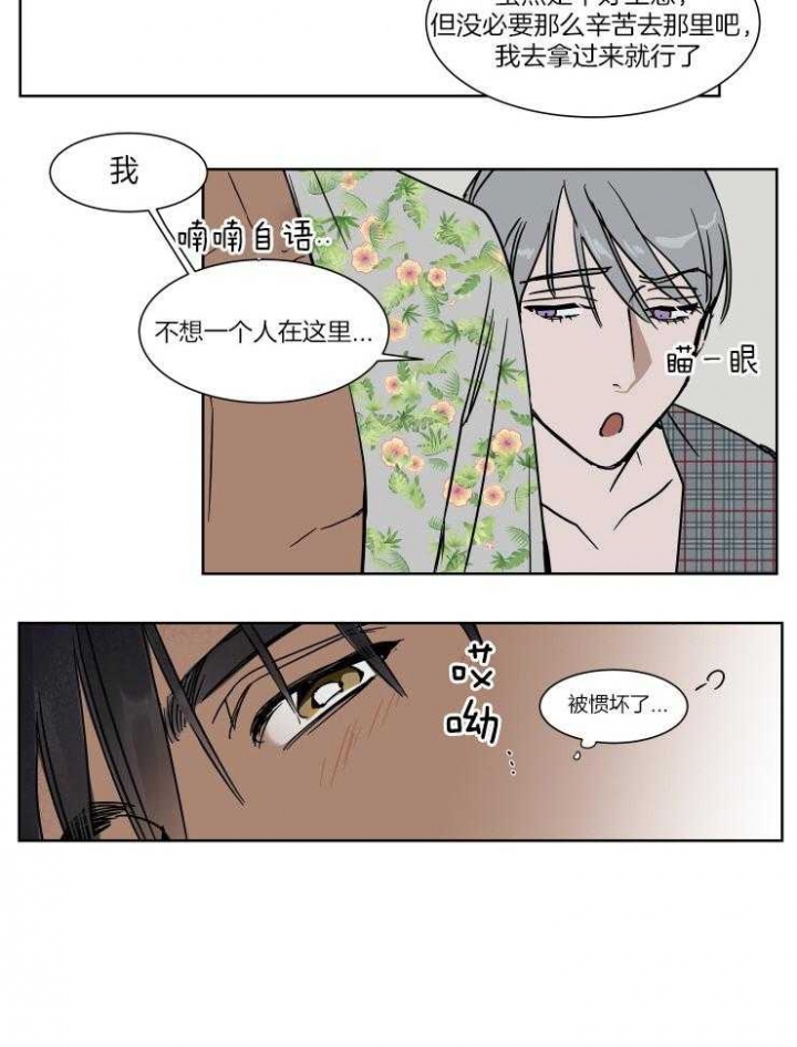 《私人绯闻》第48话 第14页