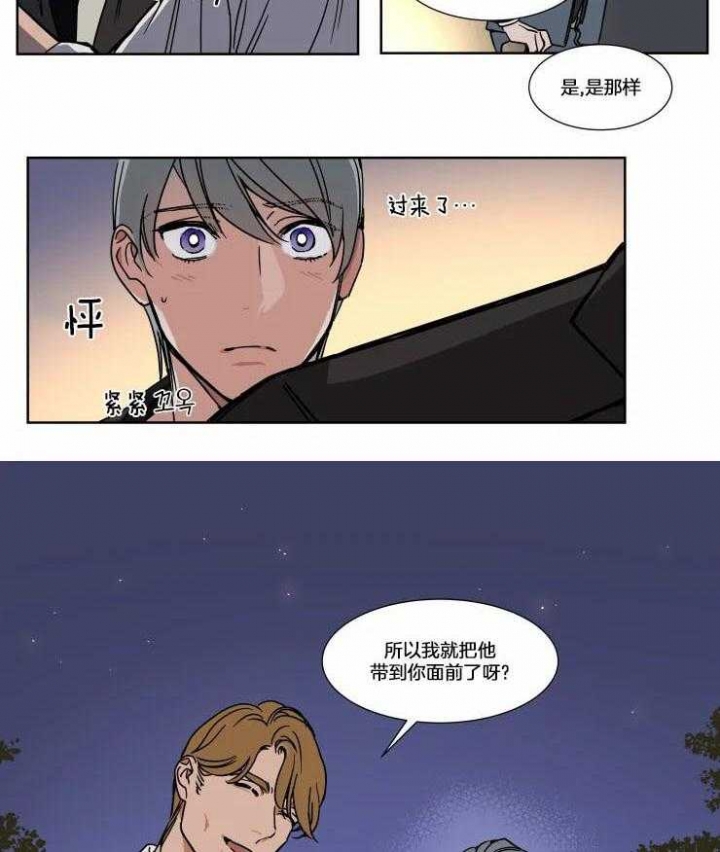 《私人绯闻》第76话 第11页