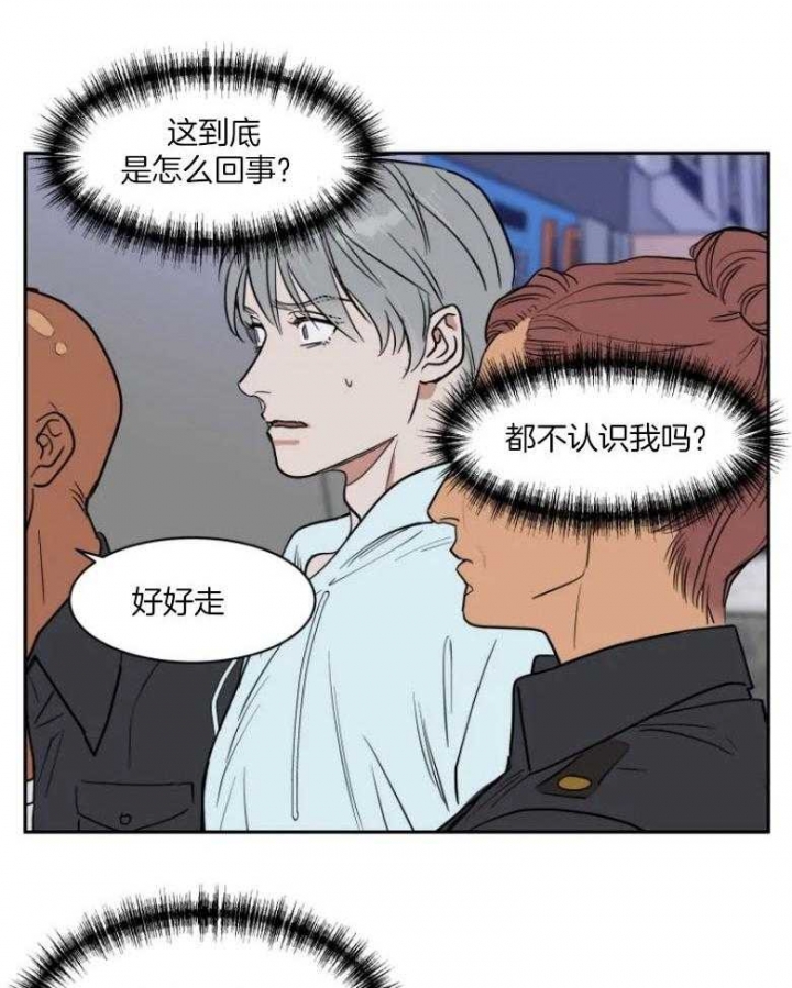 《私人绯闻》第134话 第11页