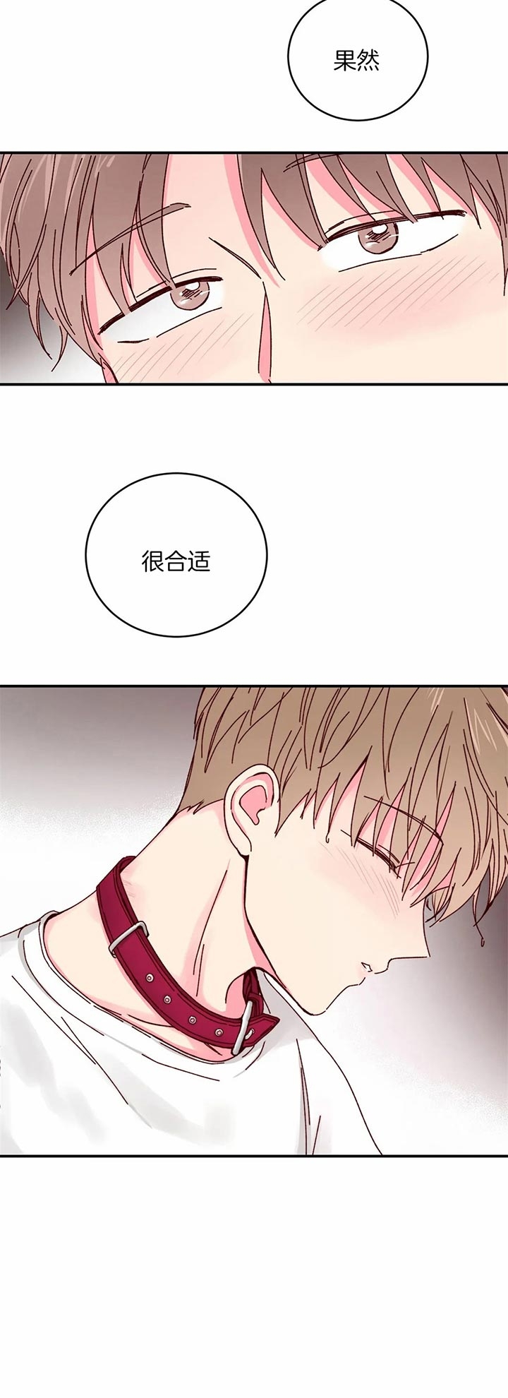 《理事的甜点》第28话 第6页