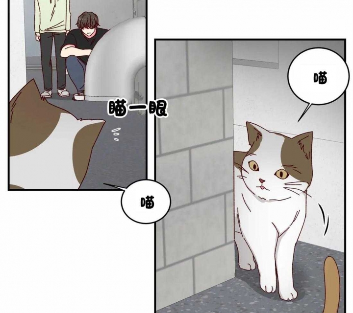 《理事的甜点》第40话 第28页