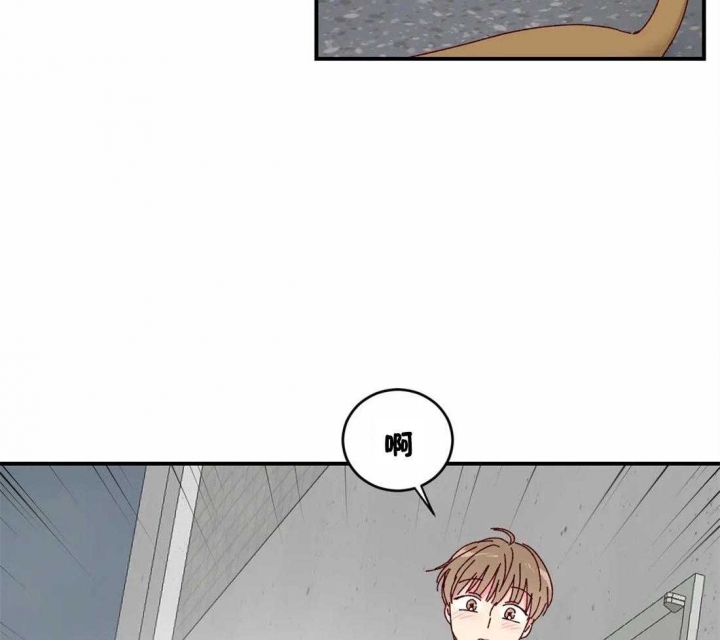 《理事的甜点》第40话 第29页