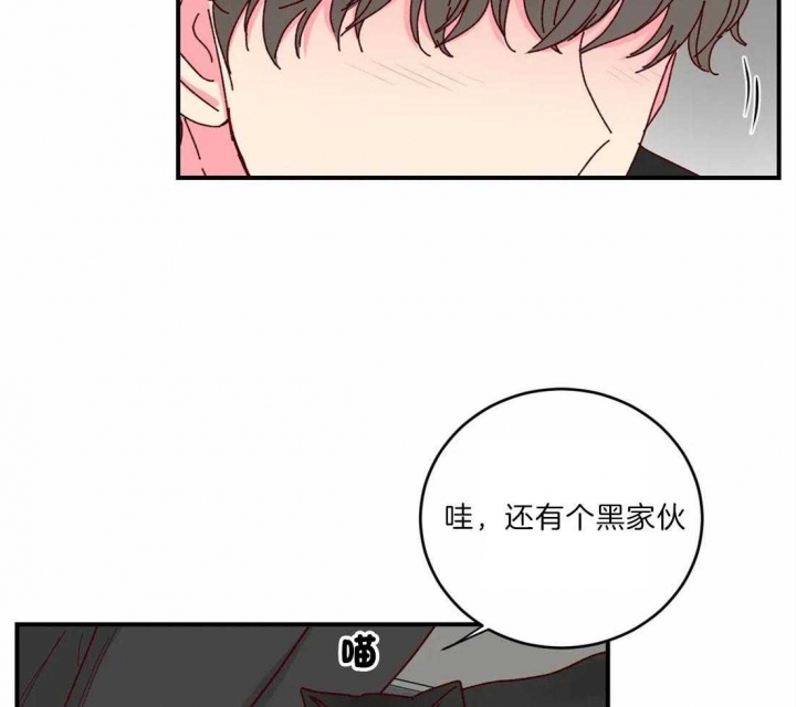 《理事的甜点》第40话 第33页