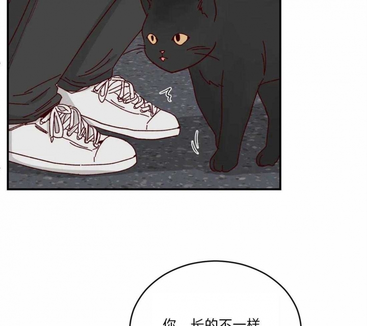 《理事的甜点》第40话 第34页