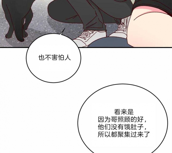 《理事的甜点》第40话 第36页