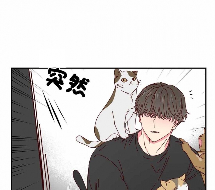 《理事的甜点》第41话 第1页