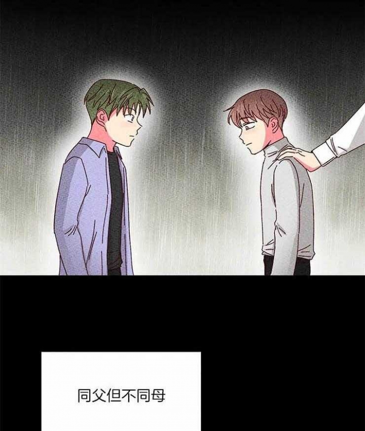 《理事的甜点》第53话 第29页